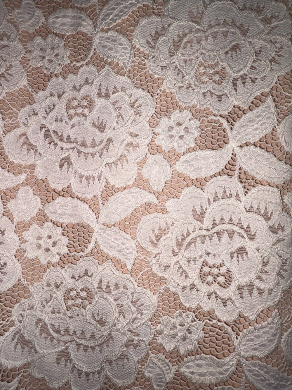 Sans Souci Ivory Floral Lace Dress - Picture 4 of 16
